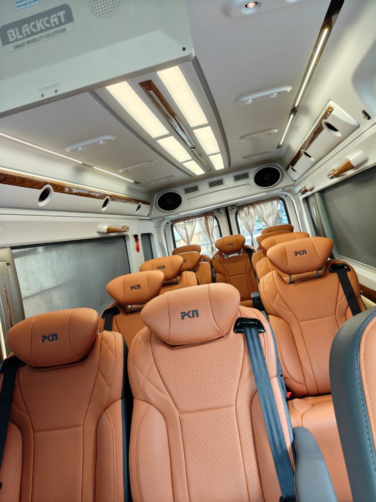 1x1 Maharaja Tan Luxury Interior